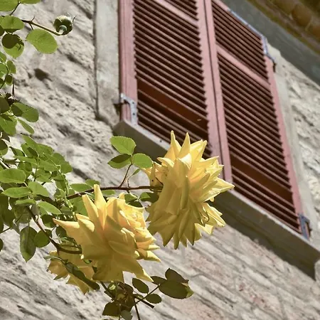 Cascina Intersenga Resort