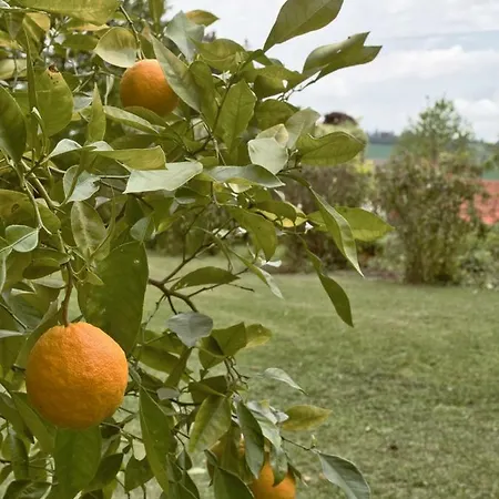 Cascina Intersenga * Vignale