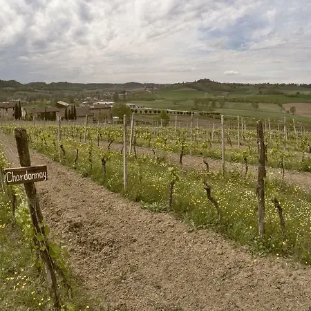 Cascina Intersenga * Vignale
