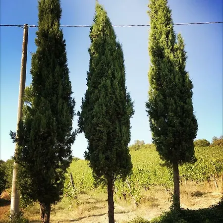Cascina Intersenga Resort Vignale