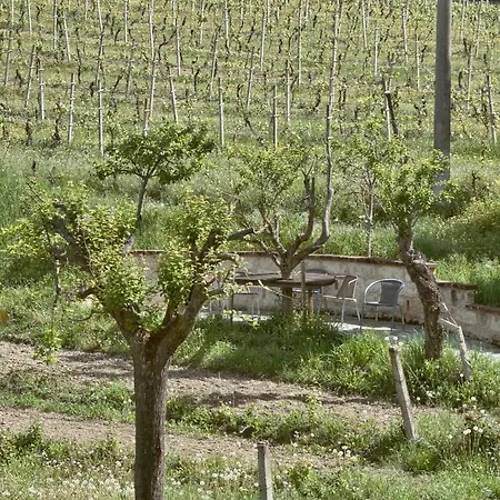 Cascina Intersenga * Vignale